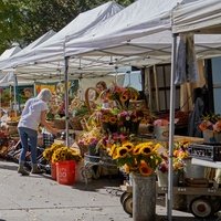 Boulder Farmers Market, Боулдер, Колорадо