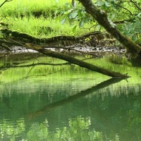 Симандр-Сюр-Сюран