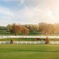 Arranmore Farm & Polo Club, Освего, Иллинойс