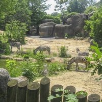 The Maryland Zoo in Baltimore, Балтимор, Мэриленд