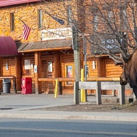 Koot's, Анкоридж, Аляска