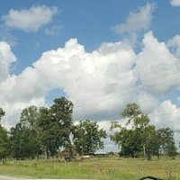 Тодд Мишен, Техас