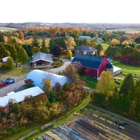 Haute Goat, Ошава