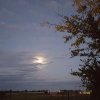 Трентон, Техас