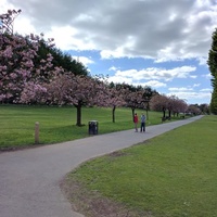 Bellahouston Park, Глазго