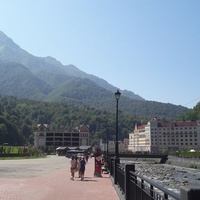 Роза Холл, Сочи