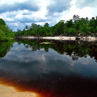 Глен-Сент-Мэри, Флорида