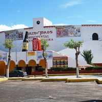 Plaza de Toros Vicente Segura, Пачука
