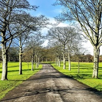 Roundhay Park, Лидс