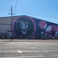 Zion City Flowing Wells, Тусон, Аризона