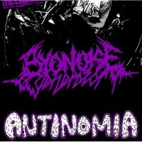 Metalpoint, Порту