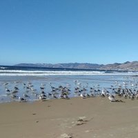 Гровер Бич, Калифорния