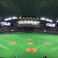 Sapporo Dome, Саппоро