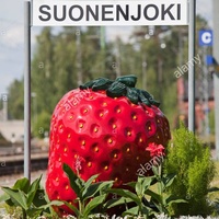 Suonenjoki central field, Суоненйоки