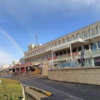 Leopardstown Racecourse, Дублин