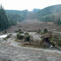 Кент, Вашингтон