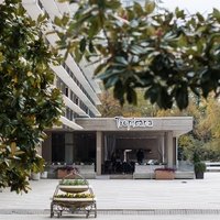 Тропикана, Сочи