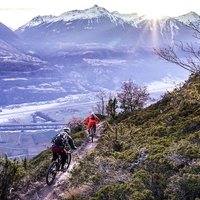 Гампель-Брач