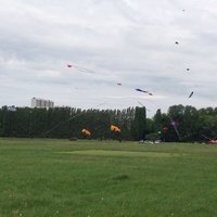 Middenvijver, Антверпен