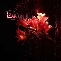 8mm Bar, Берлин