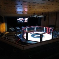 Schinzenhofsaal, Хорген