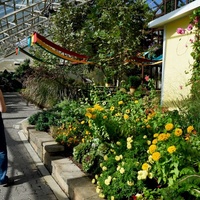 Foellinger-Freimann Botanical Conservatory, Форт-Уэйн, Индиана