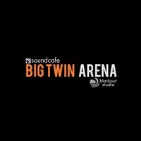 Big Twin Arena, Казань