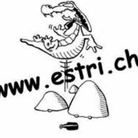 Estrich Winistorf, Золотурн