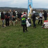 Voinegovtsi Festival Grounds, София
