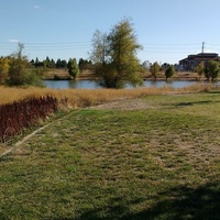 Tanzanite Skate Park, Сакраменто, Калифорния