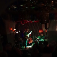 Heimathirsch, Кёльн