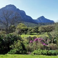 Kirstenbosch Botanical Gardens, Кейптаун