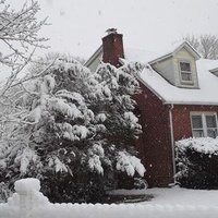 Дир-Парк, Нью-Йорк