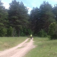 Ezeraicio miškas, Олькеники