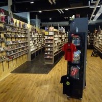 The Rocking Bull Concern, Антверпен