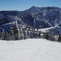 Рок концерты в Mt Baldy Ski Resort, Маунт Болди, Калифорния Mt Baldy Ski Resort, Маунт Болди, Калифорния