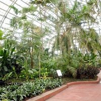 Garfield Park Conservatory, Чикаго, Иллинойс