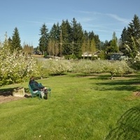 Apple Orchard Park, Бартлетт, Иллинойс