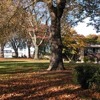 Denny Park, Сиэтл, Вашингтон