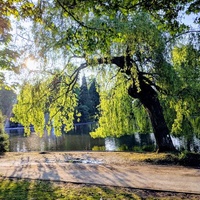 Cannon Hill Park, Бирмингем