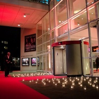 Vejle Bypark, Вайле