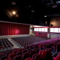 L'Arlequin, Мозак