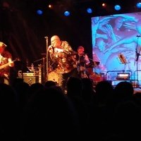 Hirsch, Нюрнберг