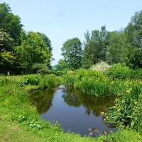 Mount Ephraim Gardens, Фавершам