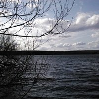 Fernwood Campground & Resort, Биг-Сур, Калифорния