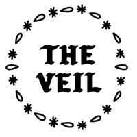 The Veil Brewing, Ричмонд, Виргиния