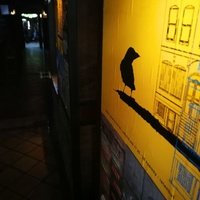 Karga Bar, Кадыкёй