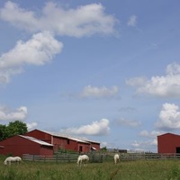 Дженесео, Нью-Йорк