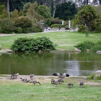 Golden Gate Park, Сан-Франциско, Калифорния