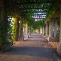 Pergola, Вроцлав